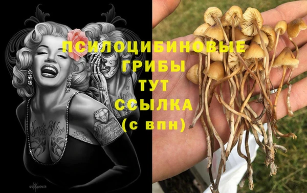 тгк Верхний Тагил