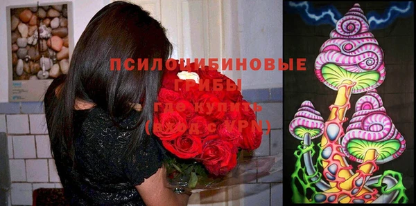 a pvp Верея