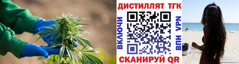 mega как войти Реж Дистиллят ТГК гашишное масло